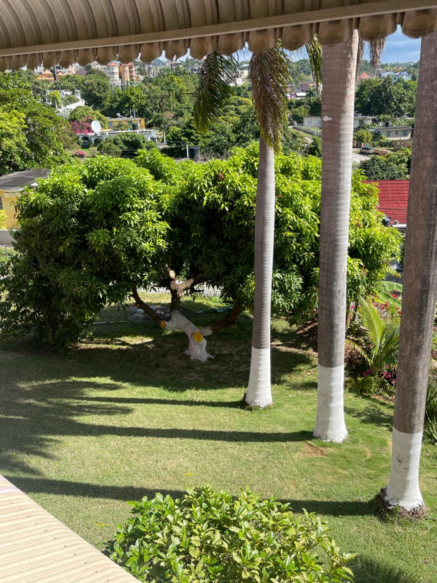 Three Palm Villa Montego Bay Extérieur photo
